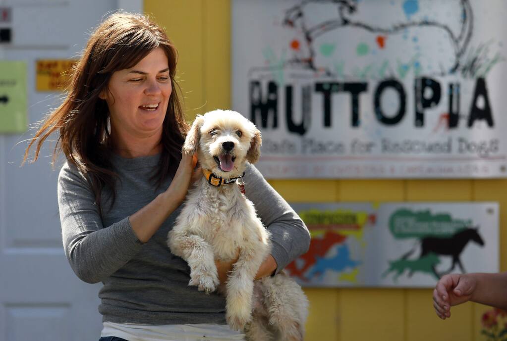 New Santa Rosa dog shelter, Muttopia, specializes in cross-border rescues