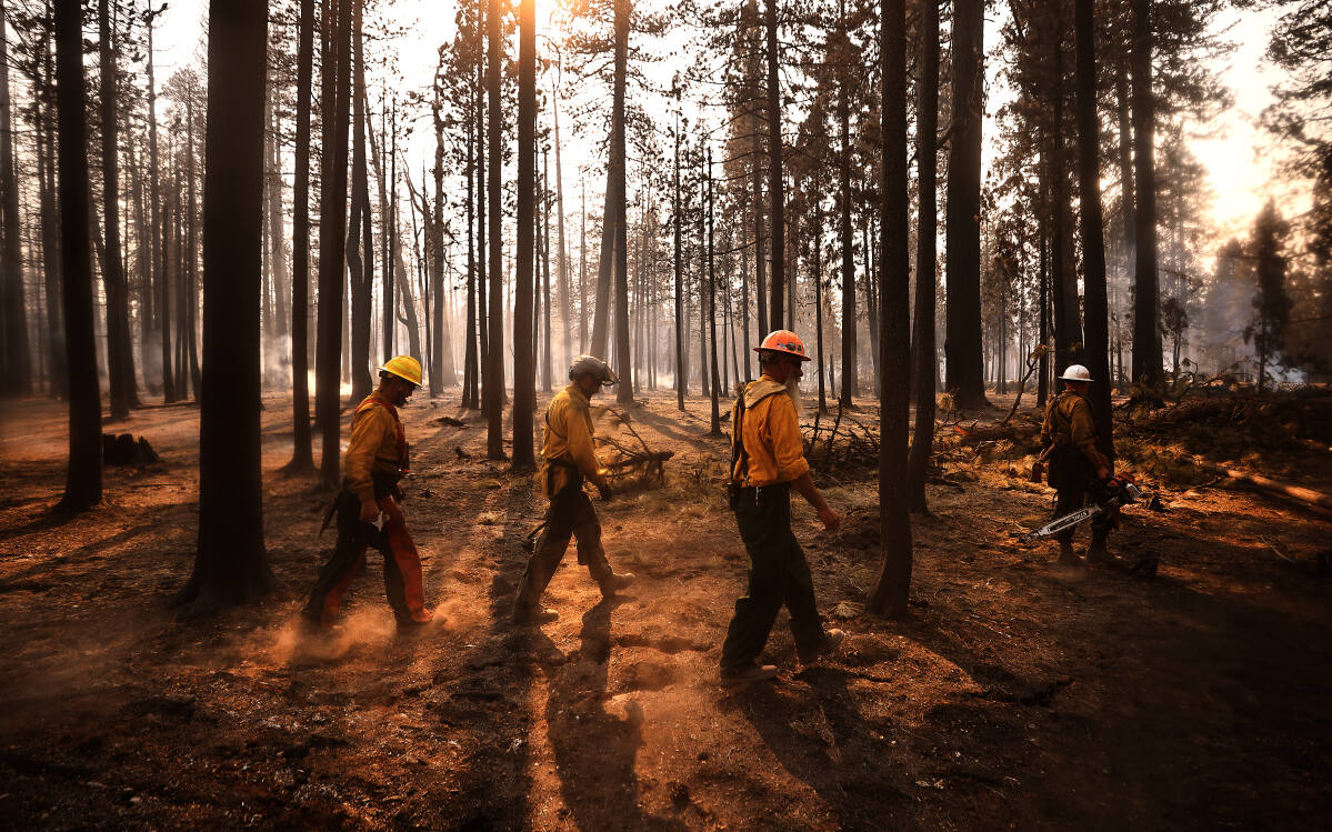 Dixie fire. In this photo, after a long day of felling hazard trees along Highway 89 in the Dixie fire zone, from left, Jason Allen of Citrus Heights, Josiah Marshall of Placerville, Timber Tom of Compton and Matthew Meckley head back to their rigs for rest on Aug. 9, 2021 near Lake Almanor. 