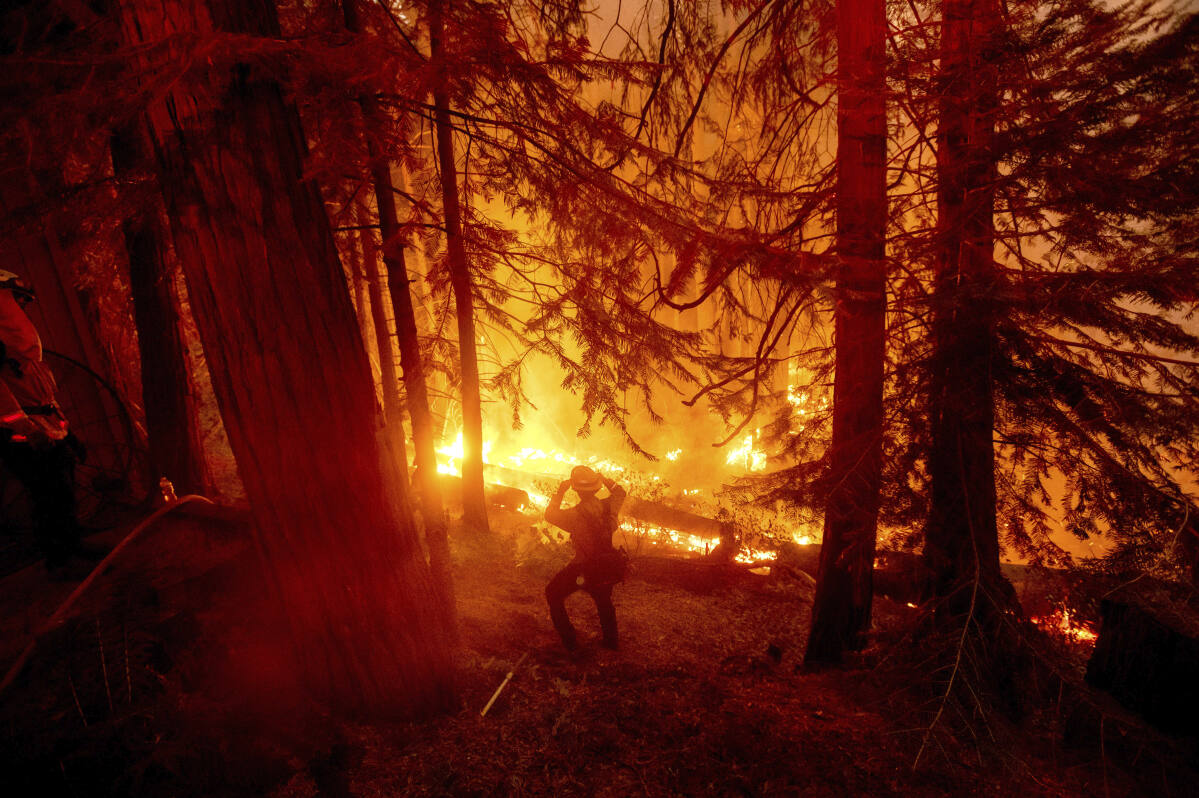 Creek fire. In this photo, a firefighter works in the Shaver Lake community in Fresno County on Sept. 7, 2020.