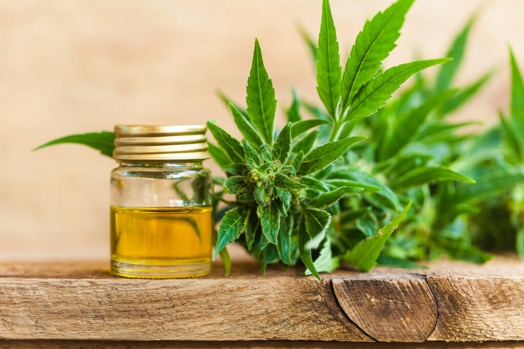 Hemp Oil vs CBD Oil: Everything You ...naturalforce.com