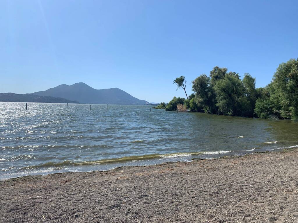 Can You Swim In Clear Lake Ca 2019 Swimmers Boaters Urged To Stay Out Of Certain Clear Lake Areas Because Of Blue Green Algae