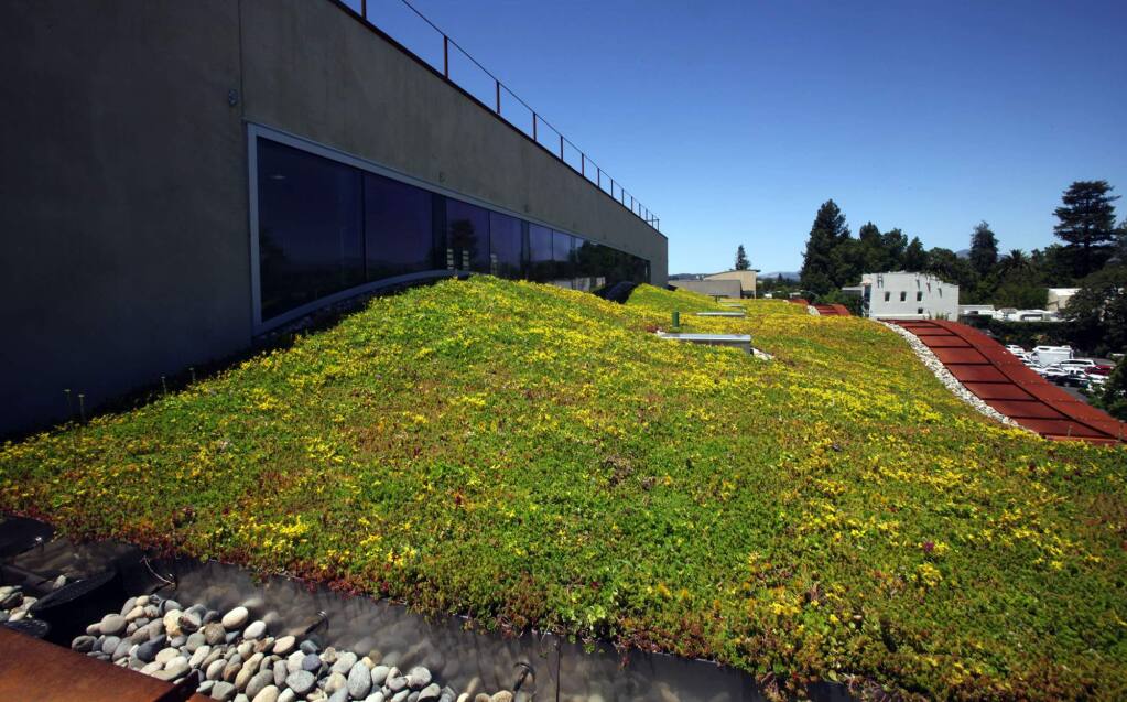 Sonoma County Turns To Green Living Roofs