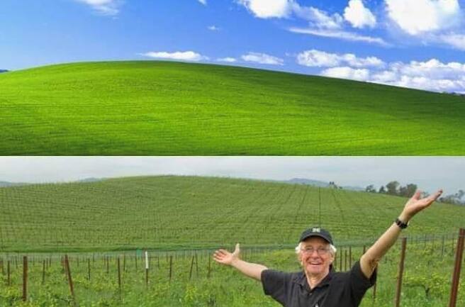 The iconic Microsoft wallpaper image was taken in Sonoma County. Now it's  become a meme