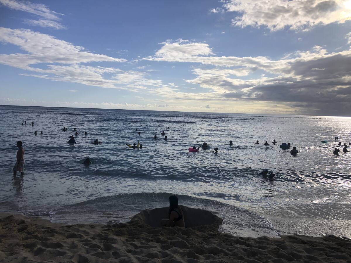 Volunteer sleuths track down Hawaii's quarantine scofflaws