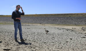 Gov. Gavin Newsom shares the dried basin of Lake Mendocino with a resident goose as he listens to local water officials answer questions from the media, Wednesday, April 21, 2021. Newsom announced he would proclaim a drought emergency for Mendocino and Sonoma counties.  (Kent Porter / The Press Democrat) 2021