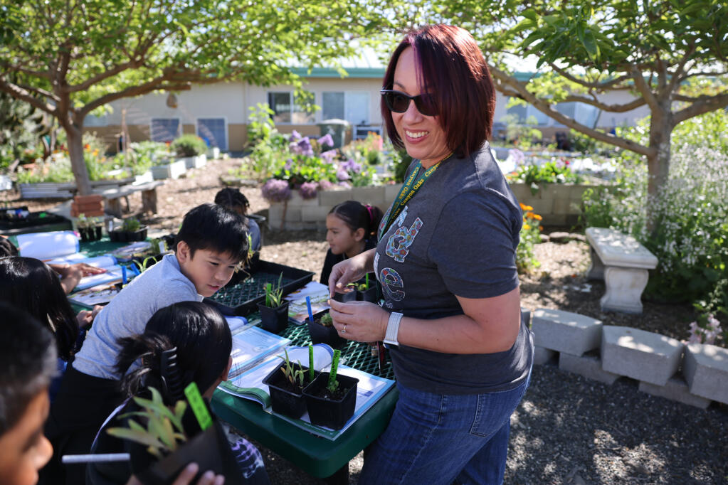 Liz Corey teaches her third grade students in the school garden at Canyon Oak Elementary School in American Canyon, Wednesday, May 1, 2024. (Beth Schlanker / The Press Democrat)