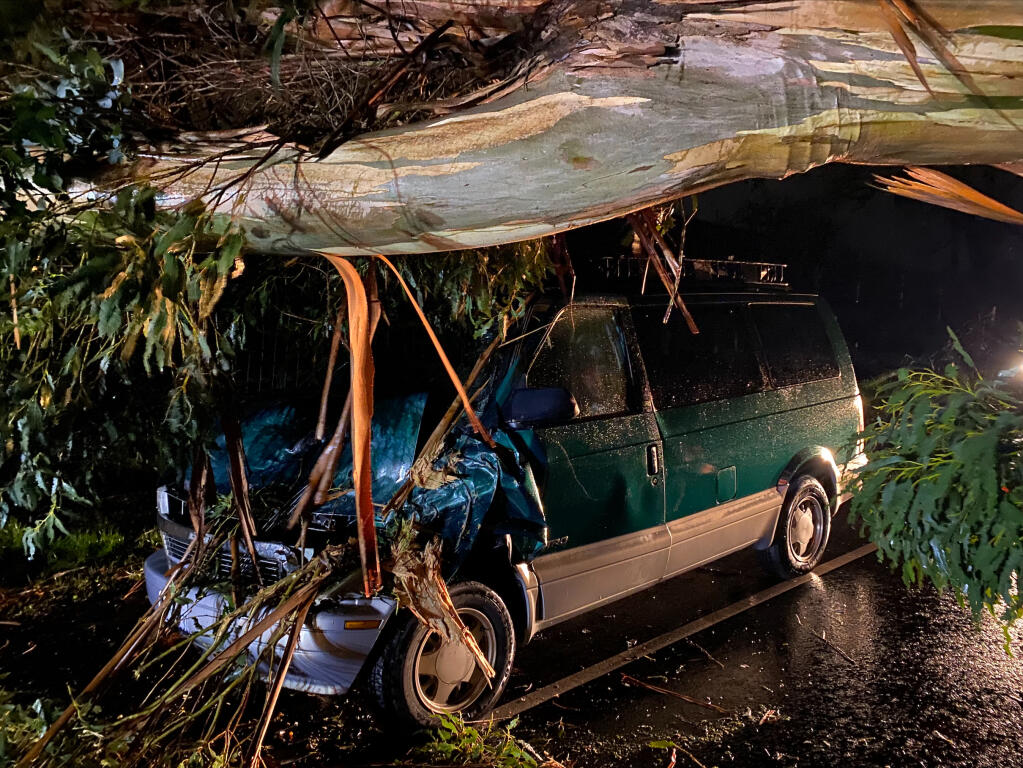 A large eucalyptus tree fell on a vehicle traveling westbound Saturday evening on River Road, just west of Slusser Road, in Santa Rosa. A woman, who was the sole occupant of the vehicle, suffered minor injuries, according to authorities. (Matt Coxon)
