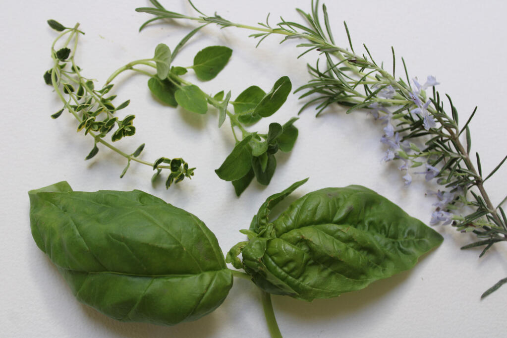 Yummy herbs. Val Larson photo.