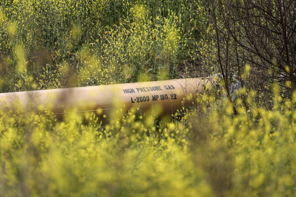 A natural gas pipeline in Chino Hills State Park on April 21, 2021. Photo by Lucy Nicholson, REUTERS