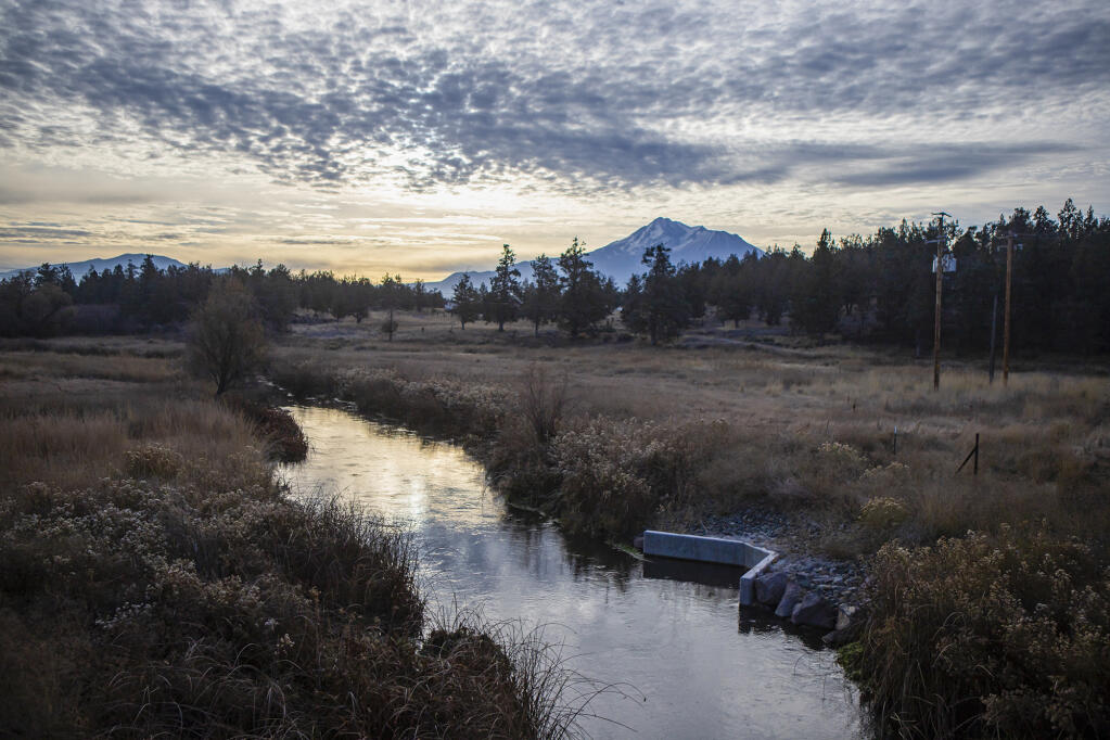 The Shasta River flows through a field near Mount Shasta in Siskiyou County on Oct. 30, 2023. Photo by Larry Valenzuela, CalMatters/CatchLight Local