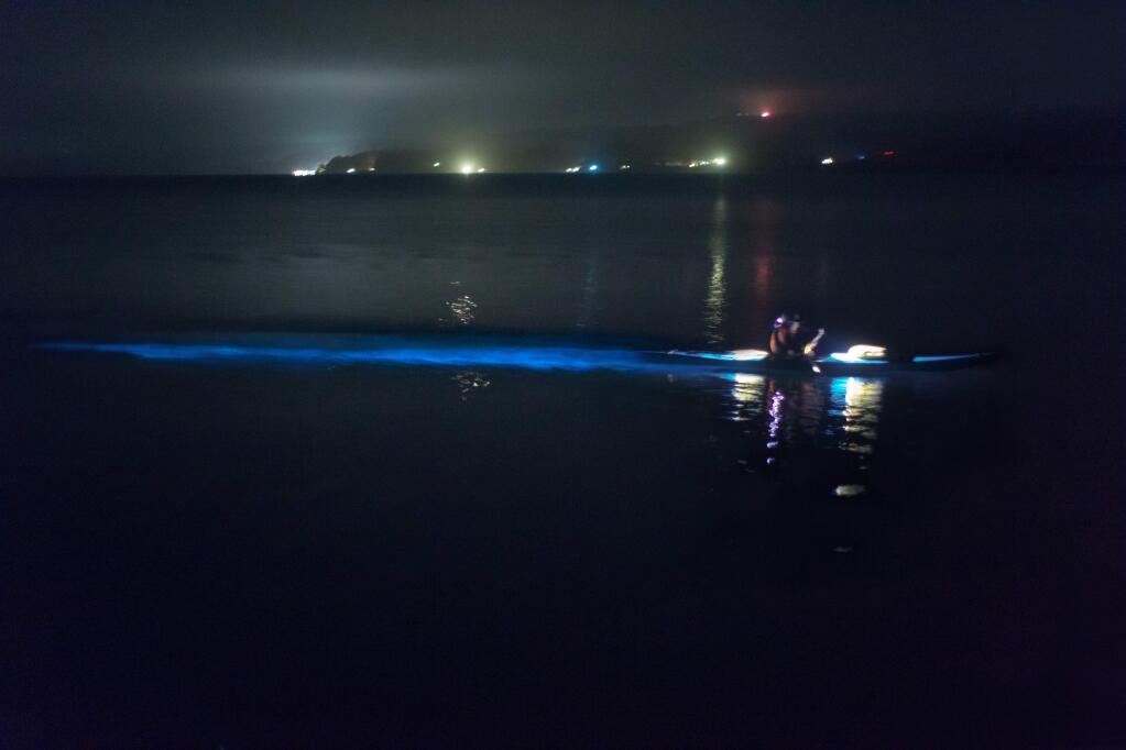 Tim King / Blue Waters KayakingA kayaker lights up the bioluminescent waters of Tomales Bay.