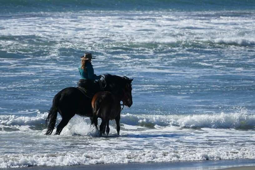 Leslie Webb on her horse, Cowboy, accompanied by her filly, Lucia, on a ride along the Sonoma Coast. A week later, Cowboy died after eating homemade cookies laced with oleander. (COURTESY PHOTO)