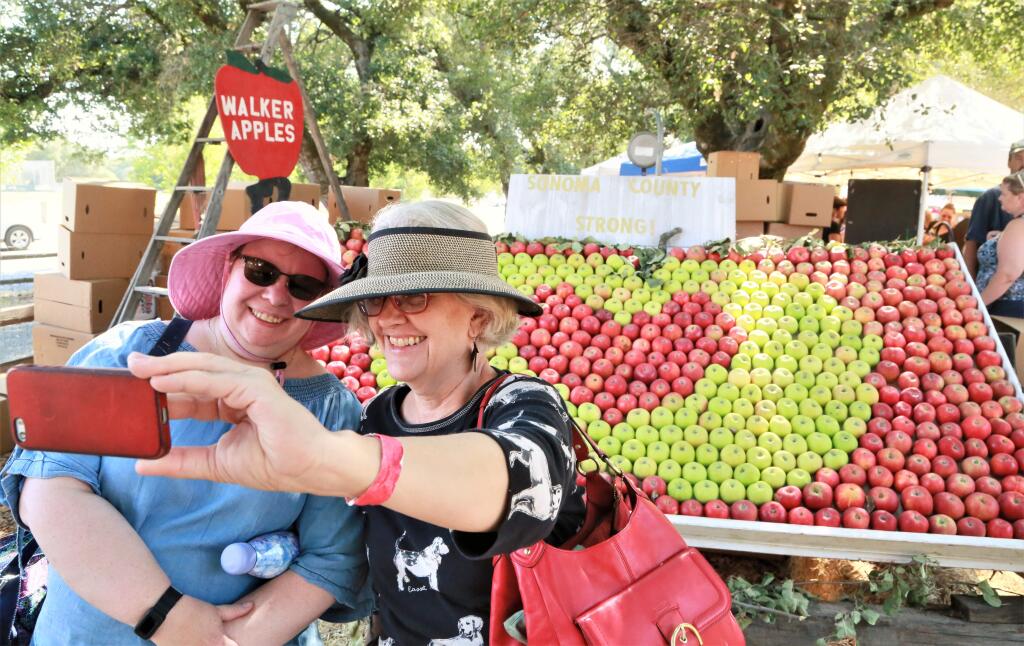 Gravenstein Apple Fair returns with live music on two stages, arts and crafts, food vendors, exhibits, farm animals, kids’ activities and Gravenstein apples in every form, Aug. 13-14, 2022, at Ragle Ranch Park in Sebastopol. (Will Bucquoy / For The Press Democrat)