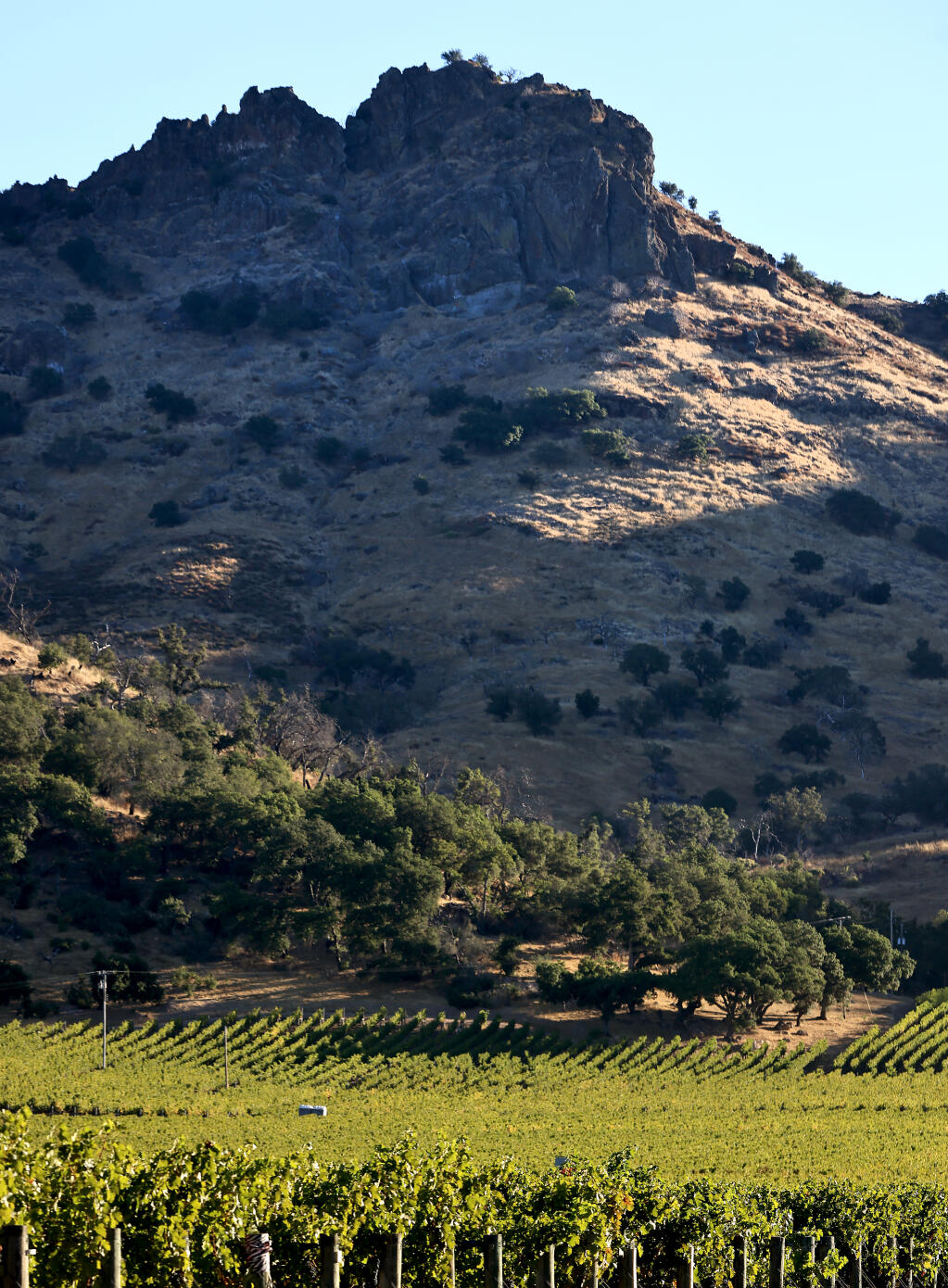 The rocky Mayacamas Mountains that border the vineyards at Stag’s Leap Wine Cellars near Napa, do not retain as much water, limiting the amount of year round runoff, Tuesday, Oct. 17, 2023.  The company is using soil mapping technology called SoilOptix. (Kent Porter / The Press Democrat) 2023