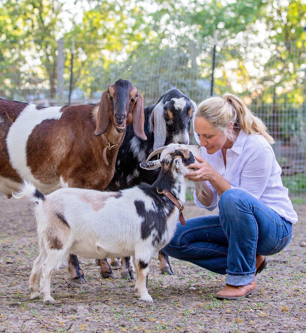 Tania Soderman, founder of Sonoma Chicks Rescue and Sanctuary, with a few goats that live on the farm in the backyard of her Sonoma home. (Photo by Lori Ovanessian)