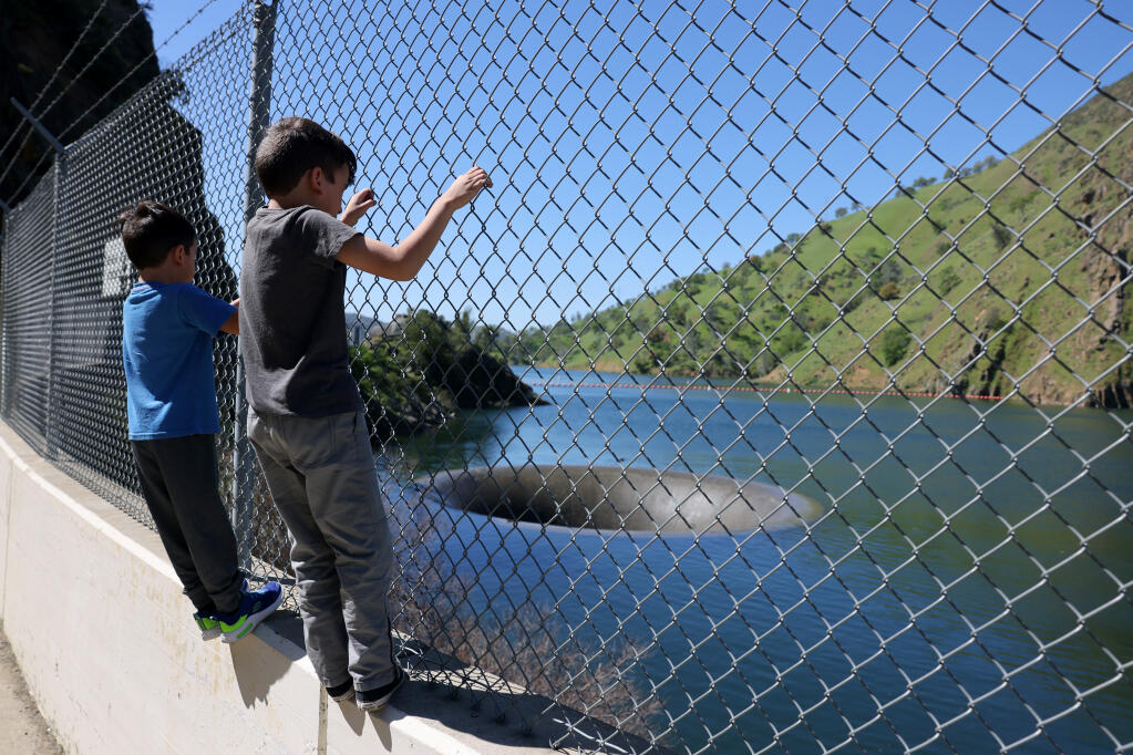Brothers Eli Rodriguez, 8, and Ezra, 5, left, hang onto the fence and watch as water trickles over the top of the Morning Glory Spillway, also known as the “Glory Hole” at Lake Berryessa in Napa County, Tuesday, April 2, 2024. (Beth Schlanker / The Press Democrat)