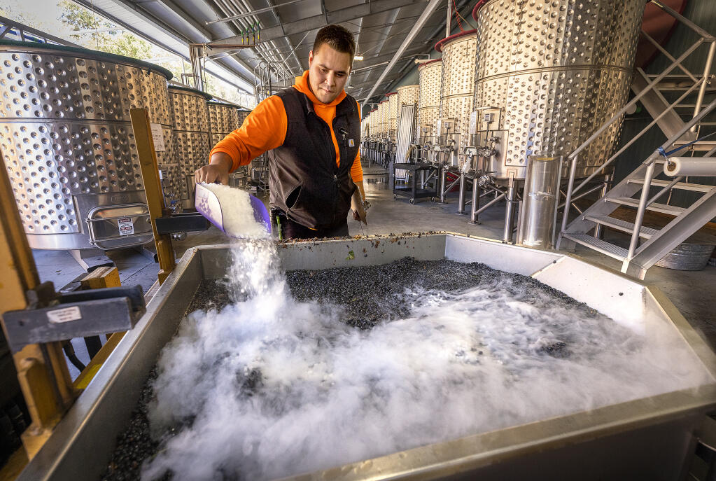 Cesar Maldonado adds dry ice to de-stemmed zinfandel grapes to chill them and remove oxygen before adding them to a fermentation tank at the Sugarloaf Crush Wine Co. in Santa Rosa Sept. 1, 2022. (John Burgess/The Press Democrat)