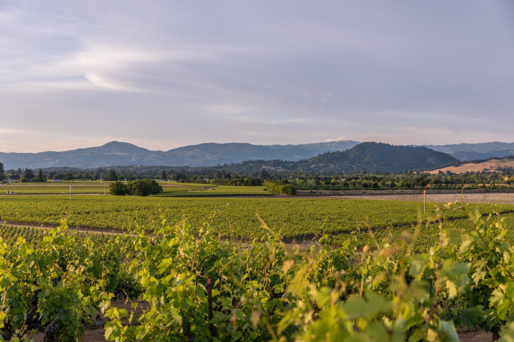 The Soracco family sold this 81-acre property with 69 acres of vines at 3714 Westside Road in Sonoma County's Russian River Valley in September 2023 for $8.1 million. (Photo: Darren Loveland)