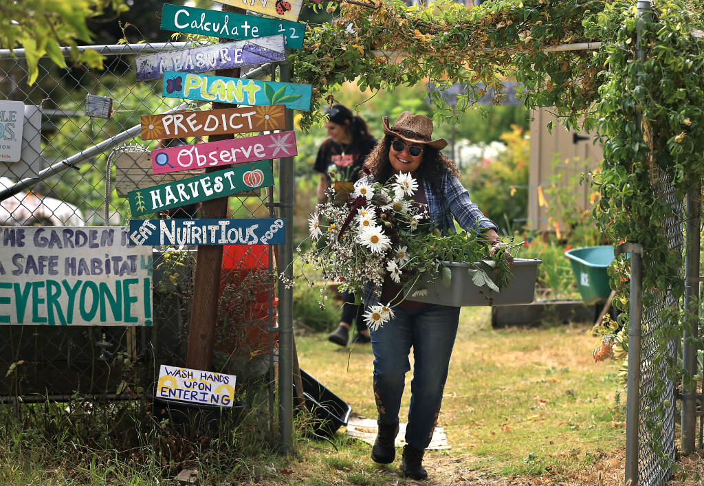 Lori Davis hauls cut flowers at a community garden at San Pedro Elementary School, Wednesday, July 19, 2023 in San Rafael. Davis provides fruits and vegetables for school children and other groups from the garden that is managed by her.   (Kent Porter / The Press Democrat) 2023