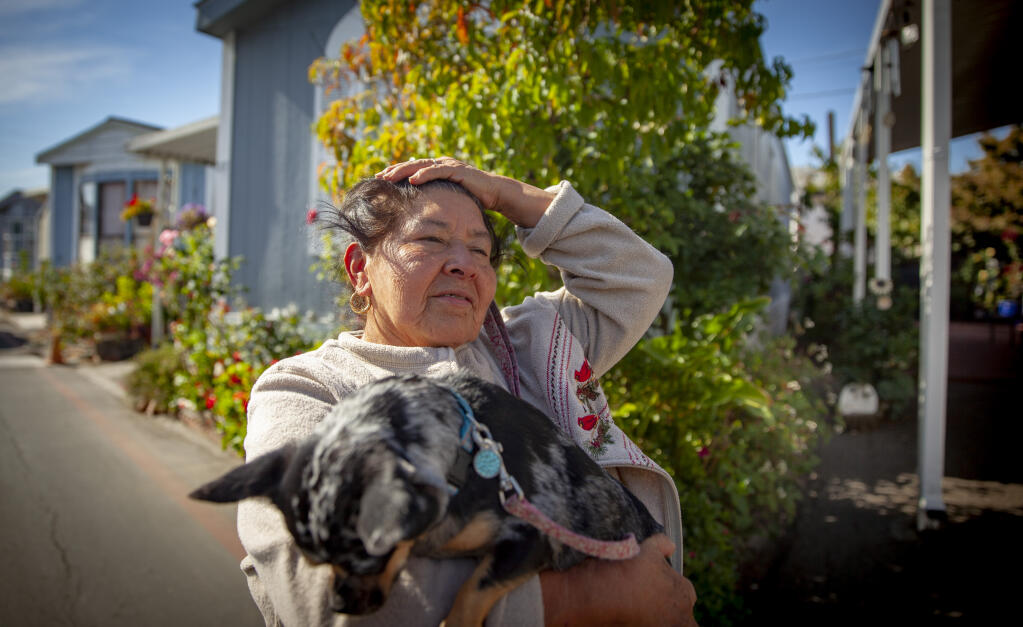 Alicia Pelayo has lived at Little Woods mobile home park in Petaluma for 27 years. While taking her dog, Laila, for a walk, she stopped to talk about her concerns over the owners’ proposed rent increases. Photographed on Tuesday, October 31, 2023. (CRISSY PASCUAL/ARGUS-COURIER STAFF)