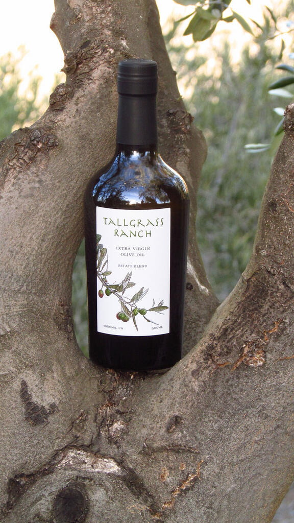 Nancy Lilly’s award-winning Tallgrass Ranch Extra Virgin Olive Oil is made primarily with fruit from Frantoio and Leccino trees, according to tallgrassoliveoil.com.