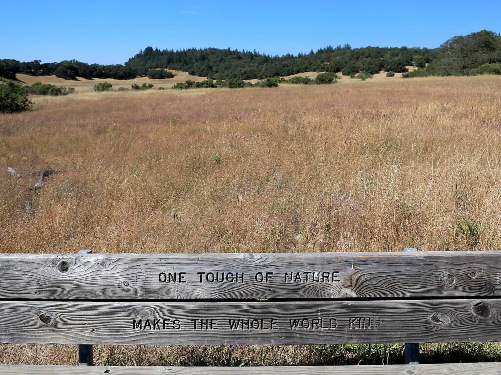 On the Lake Trail at Trione-Annadel State Park in Santa Rosa on Monday, June 18, 2018. (Kent Porter/The Press Democrat)
