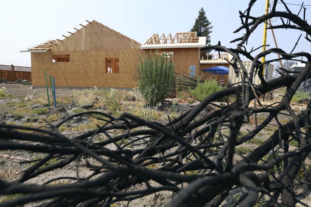 FILE - This Aug. 9, 2018 file photo shows a burned tree in the foreground of Cheri Sharp's new home under construction in Santa Rosa, Calif. Years of increasingly deadly wildfires that ripped through California communities are spurring measures that would toughen local governments' requirements for approving housing developments in high risk areas. Developers would have to increase fire protections, plan for evacuations, or prepare for residents who may need to ride out fires in safe areas. The building industry says the regulations could worsen California's persistent problems with homelessness and affordable housing. (AP Photo/Lorin Eleni Gill, File)