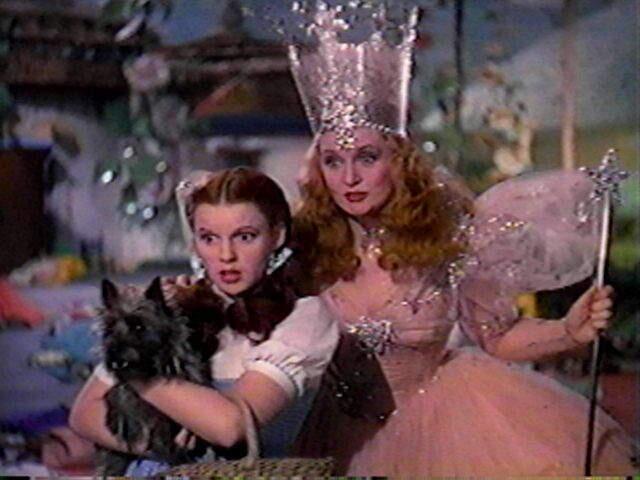 Dorothy and her Munchkinland real-estate agent review their housing options.