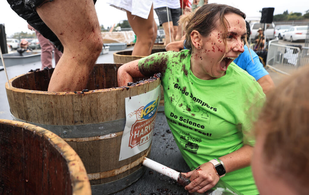 Michelle Bullock from San Francisco reacts to a splash of grape juice during the Sonoma County Harvest Fair’s World Championship Grape Stomp, Saturday, Oct. 15, 2022 at the Sonoma County Fairgrounds in Santa Rosa,  Saturday, Oct. 15, 2022. (Kent Porter / The Press Democrat file)
