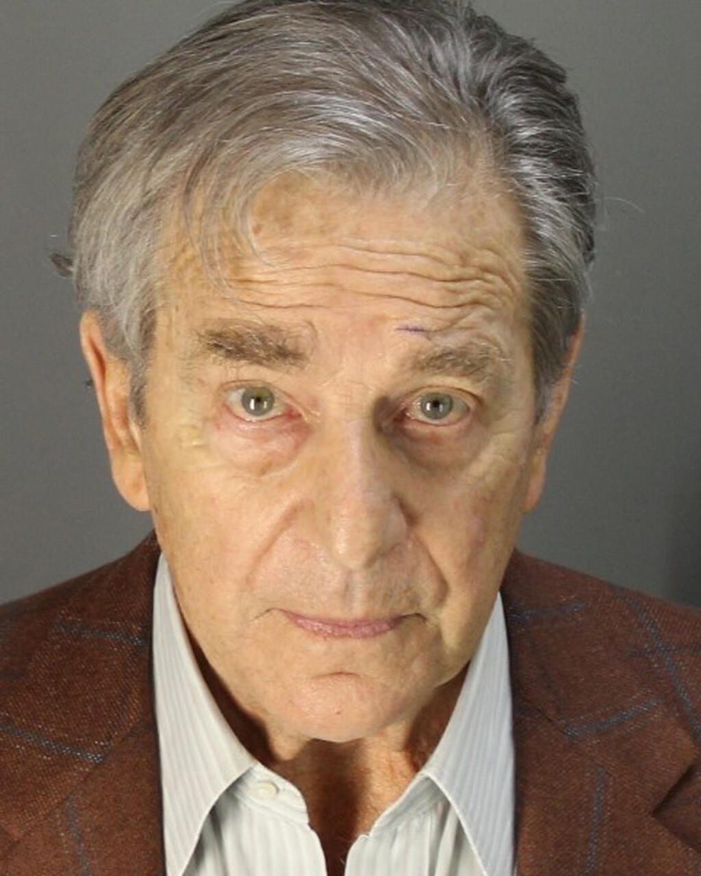 FILE - This booking photo provided by the Napa County Sheriff's Office shows Paul Pelosi on May 29, 2022, following his arrest on suspicion of DUI in Northern California. The husband of U.S. Speaker of the House Nancy Pelosi pleaded not guilty Wednesday, Aug. 3, 2022, to misdemeanor driving under the influence charges related to a May car crash in Northern California wine country. Paul Pelosi did not appear in person at Napa County Superior Court. (Napa County Sheriff's Office via AP, File)