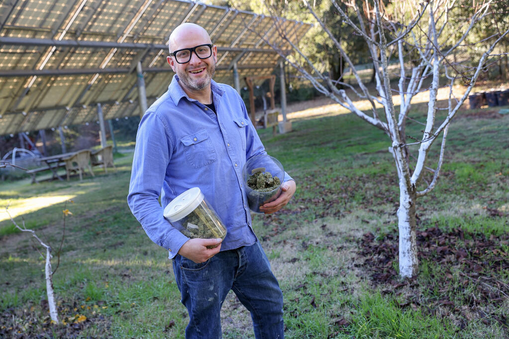 Bryce Skolfield, managing partner at Mine + Farm, holds bins of cannabis grown on the inn’s property near Guerneville on Wednesday, Dec. 7, 2022. The inn provides pre-rolled joints to share with guests. (Christopher Chung/The Press Democrat)