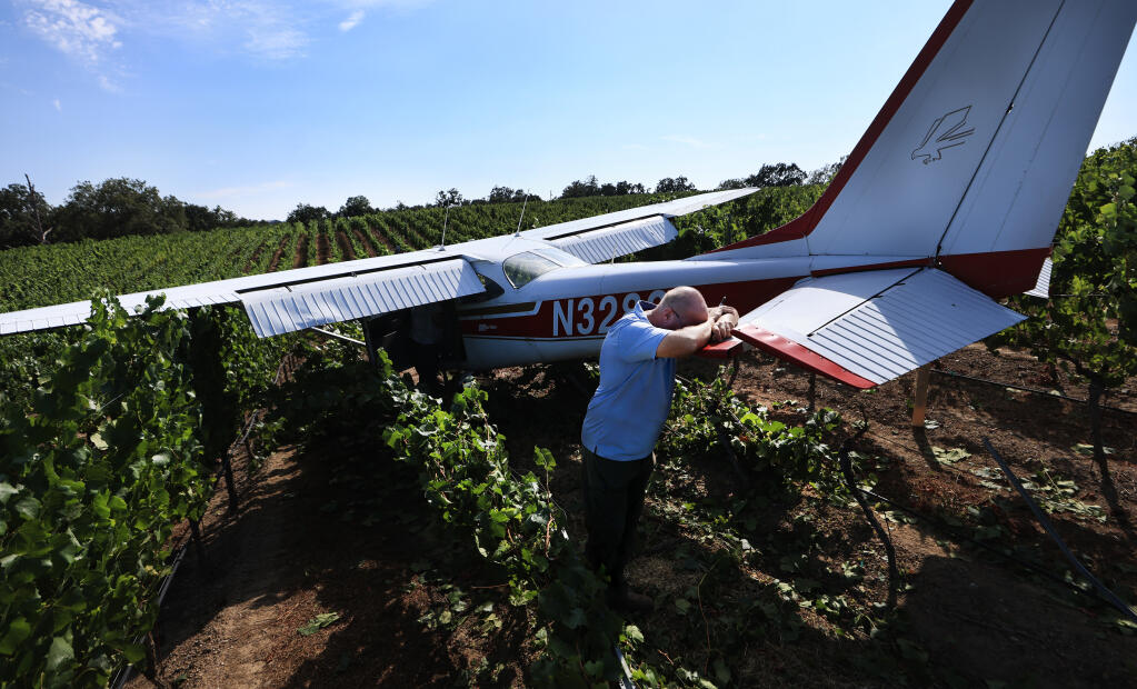 William Tomkovic, of Healdsburg, collects his thoughts after walking away uninjured Saturday, Aug. 19, 2023, after making an emergency landing on a hillside vineyard in Windsor, just northwest of the Charles M. Schulz-Sonoma County Airport. The plane is a Cessna 172 H.  (Kent Porter / The Press Democrat)