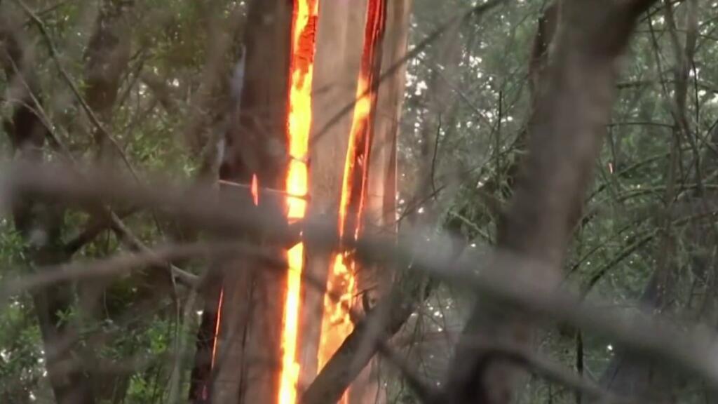 This screenshot of a video shows a tree fire caused by lightning strikes in Glen Ellen on  Tuesday, May 10, 2022 (NBC Bay Area)