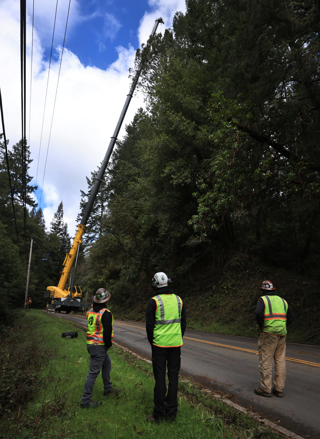 Personnel with Atlas Tree watch as a large redwood tree is taken down with the help of a construction crane on Bohemian Highway, between Occidental and Freestone, Tuesday, Feb. 6, 2024. The crane was used to hoist a worker in to the canopy to limb the tree before the entire length is to be felled. (Kent Porter / The Press Democrat) 2024