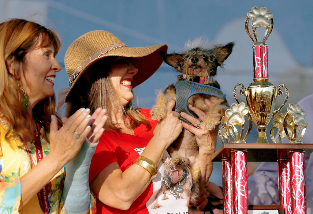 Scamp the Tramp is held up beside the trophy by Darlene Wright while her sister and Scamp's owner Yvonne Morones applauds, during the World's Ugliest Dog Contest at the Sonoma-Marin Fair in Petaluma, California, on Friday, June 21, 2019. (Alvin Jornada / The Press Democrat)