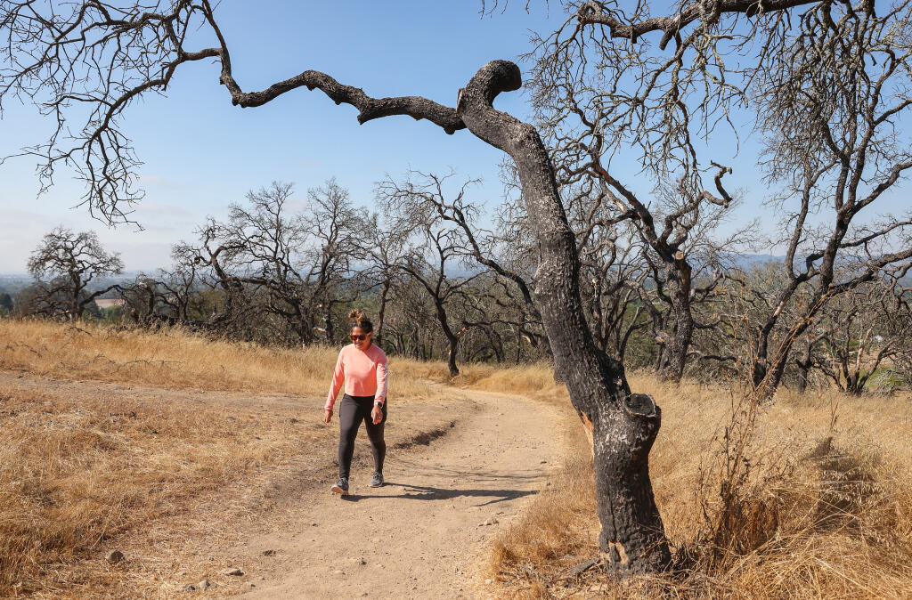 Alma Karlsrud makes her way up Alta Vista Trail at Foothill Regional Park in Windsor, Tuesday, Sept. 19, 2023.  (Christopher Chung / The Press Democrat)