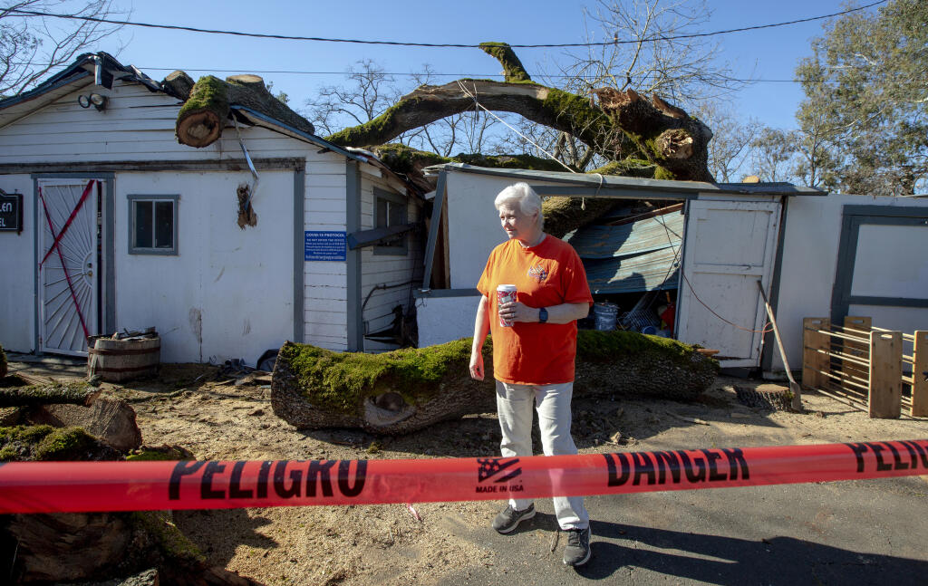 On Thursday, Jan. 27, 2022, Sally George, proprietor of Aberglen Pet Resort on Napa Road, surveys the damage done to her office and grooming room by an uprooted oak tree during the last storm. (Robbi Pengelly/Index-Tribune)