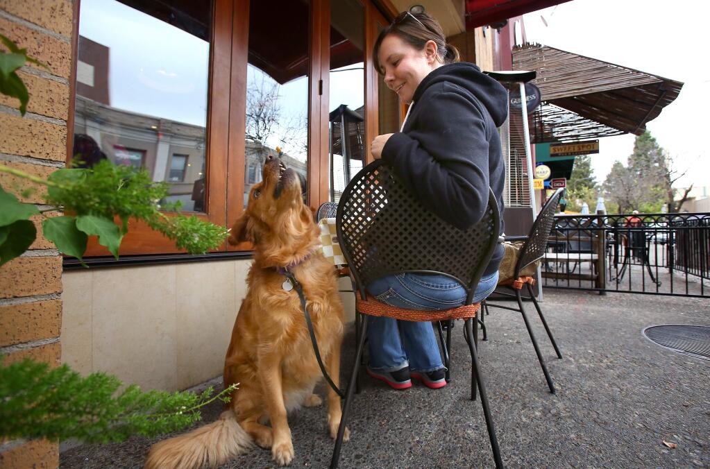 Caitlin Cameron watches her three-year-old golden retriever, Stella, perform a trick while having lunch on the patio of Mary's Pizza Shack, in downtown Santa Rosa on Tuesday, Nov. 11, 2014. (CHRISTOPHER CHUNG/ PD)