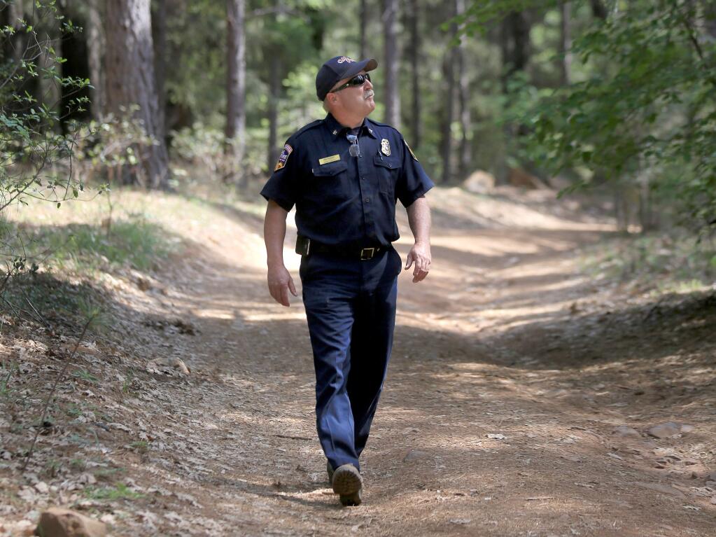 FILE - Cal Fire Division Chief Jim Wright walks a road in the Boggs Mountain State Forest in Lake County, Tuesday May 5, 2015 looking for bug killed trees. (Kent Porter / Press Democrat) 2015