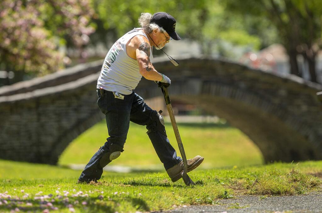 When Kennett Makaiwi noticed a brick-lined edge under the overgrown paths in Julliard Park in Santa Rosa, he volunteered for the grueling task of cutting back the grass. (JOHN BURGESS/ PD)