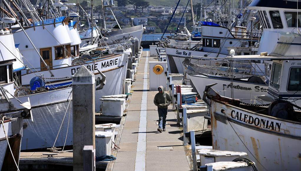 Danny Kunstman, owner of the Orion fishing boat in Bodega Bay, walks the A dock at Spud Point Marina after working on his boat. Kunstman and other California commercial and recreational fishermen, will not be salmon fishing this season due to the Pacific Marine Fisheries Council endorsing a full closure of the season, Thursday, April 11, 2024 in Bodega Bay. (Kent Porter / Press Democrat)