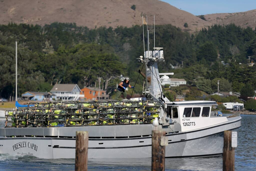 A crew member climbs atop stacks of crab pots on the fishing boat the 'Presley Capri' at Spud Point Marina in Bodega Bay on Monday, November 18, 2019. (BETH SCHLANKER/ The Press Democrat)