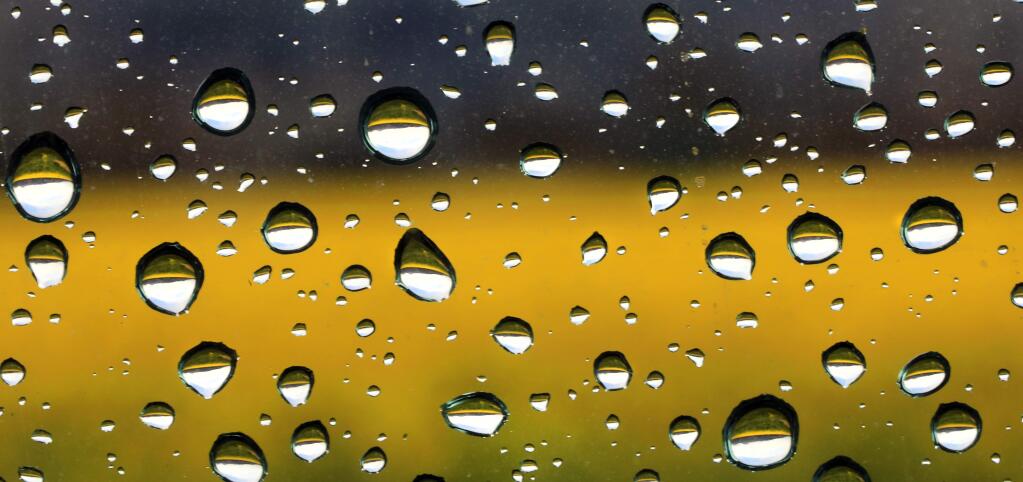 Raindrops on a car window near a mustard patch in the Alexander Valley, Thursday Feb. 22, 2018. (Kent Porter / The Press Democrat) 2018