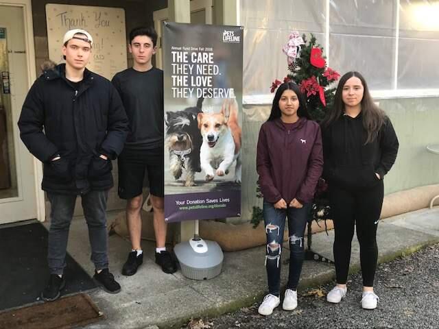 Four of the five SVHS seniors doing their senior projects with/at Pets Lifeline. SVHS seniors Silvan Kopp, Calvin Westling, Blanca Castellon and Briseyda Garcia.All four pictured students are fine with you contacting them directly if you need more information. Here's their contact data:Silvan: 707-721-6005, skopp0@stu.sonomaschools.orgCalvin: 707-787-7705, calvinewestling@gmail.comBlanca: 707-230-7756, bcaste0@stu.sonomaschools.orgBriseyda, 707-933-6331, bgarci0@stu.sonomaschools.org