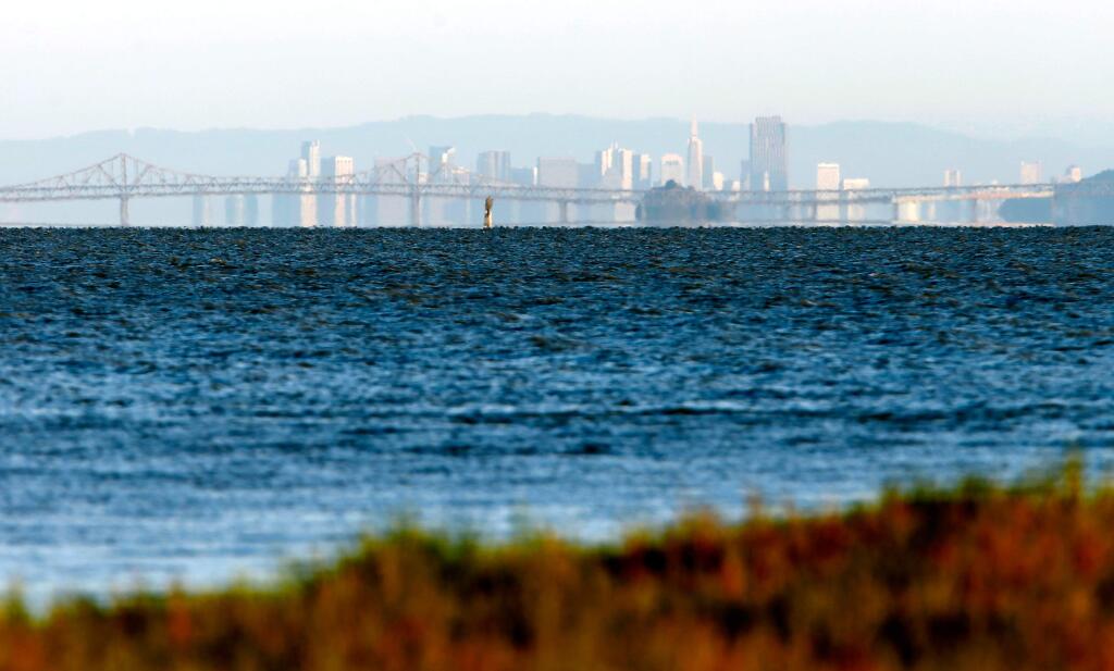 The Richmond Bridge and skyline of San Francisco are visible from the Sears Point Wetlands Restoration Project near Sonoma. (ALVIN JORNADA / The Press Democrat, 2016)