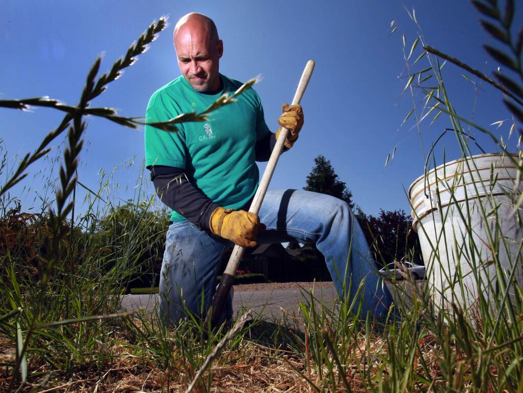 Brian Dombrowski digs out a residential water meter while working for the City of Santa Rosa water department as a temporary employee, replacing mechanical water meters with digital models that can be part of an Advanced Metering Infrastructure (AMI). (Press Democrat file)