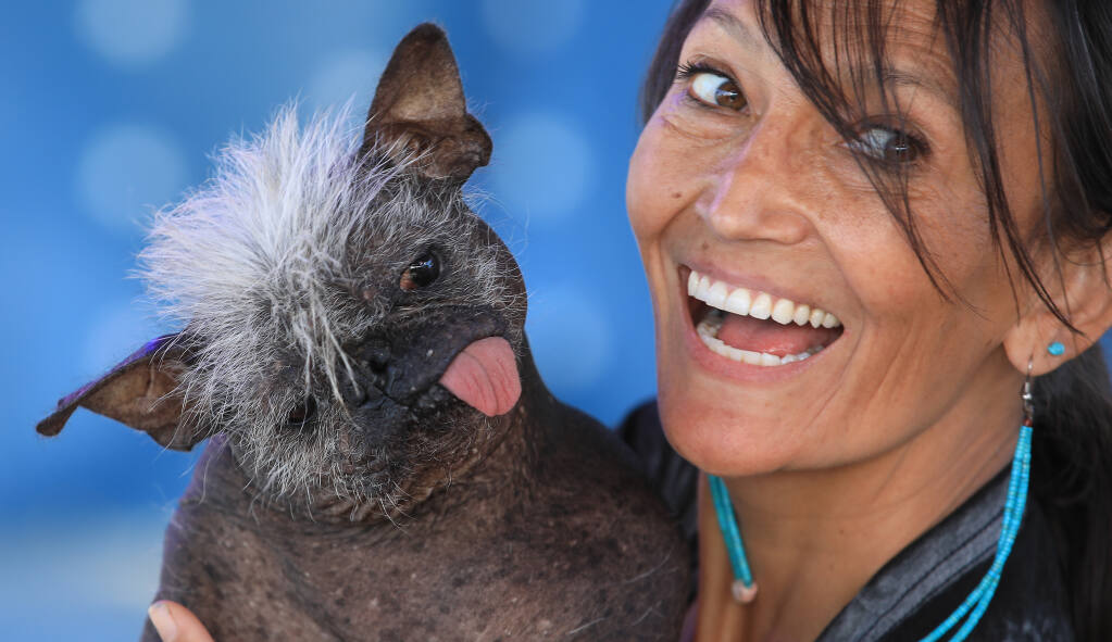 Mr. Happy Face, a 17-year-old Chinese crested-Chihuahua adopted by Jeneda Benally of Flagstaff AZ., took the title of the worlds ugliest dog, during the Worlds Ugliest Dog Contest at the Sonoma-Marin Fair in Petaluma, Friday, June 24, 2022. (Kent Porter / The Press Democrat) 2022