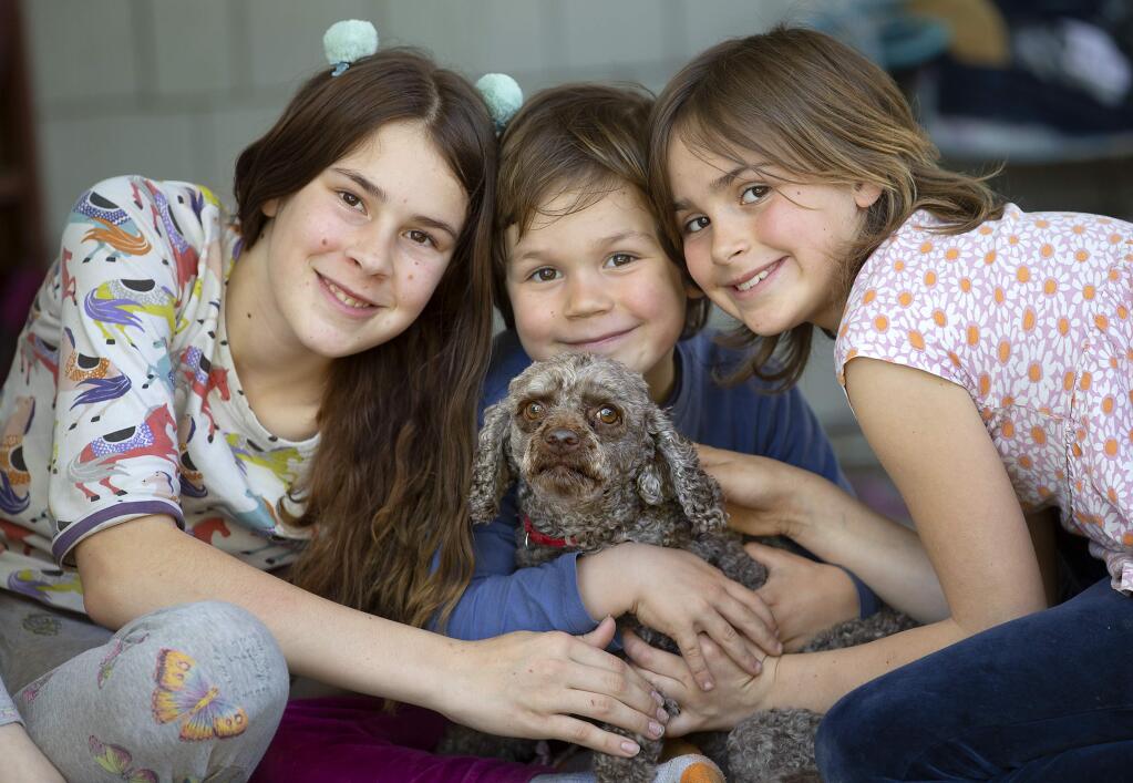 From left, Dasha, 11, Ben, 4, and Natalia, 8, snuggle with Ollie, their 6 year-old miniature poodle, after he was exonerated by a judge on Wednesday after Sonoma County Animal Control tried to declare him dangerous. (photo by John Burgess/The Press Democrat)