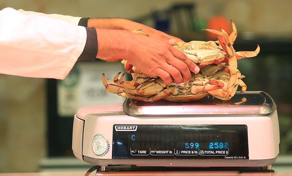 Fresh dungeness crab are weighed at Oliver's Market in Santa Rosa, Thursday Nov. 17, 2016. (Kent Porter / The Press Democrat) 2016