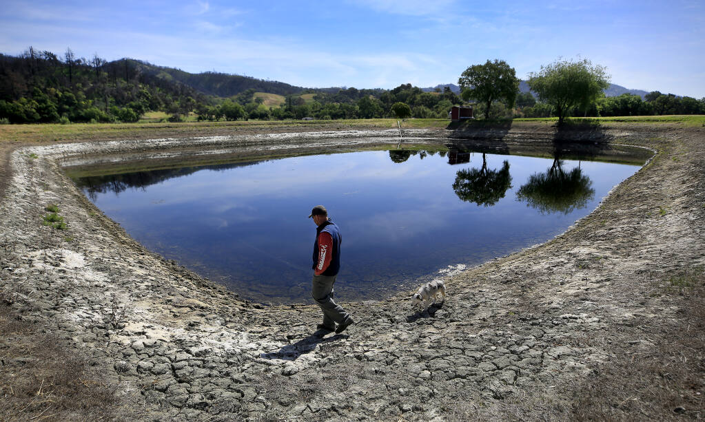 A drought parched reservoir, Thursday, April 29, 2021, used for frost protection, worries Bret Munselle, a fifth generation Alexander Valley farmer.  With 300 acres of vineyards to look after, a freezing morning could deplete the storage pond.  (Kent Porter / The Press Democrat) 2021
